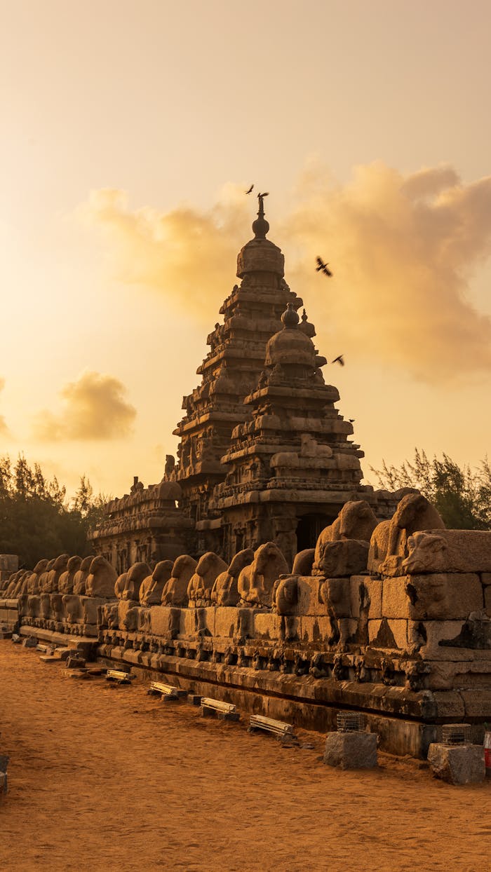 about-01 Majestic Shore Temple in Mahabalipuram at golden hour with birds flying past.